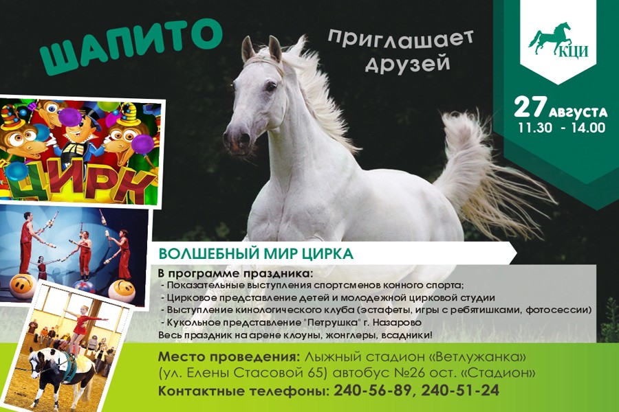 Детский театрализованный праздник «Шапито приглашает друзей!»