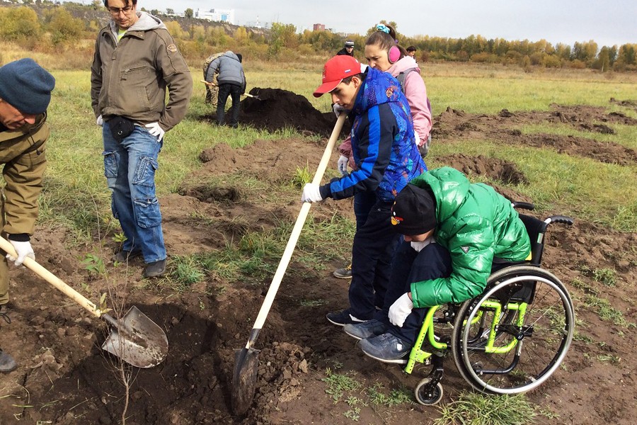 Зеленая дружина