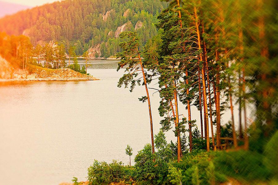 Летний гражданский форум на Бирюсе