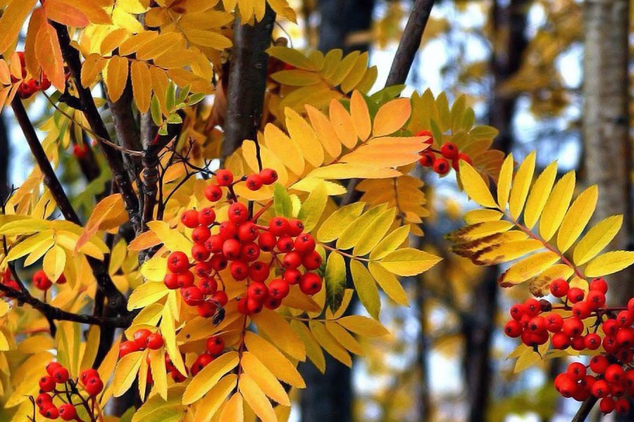 С началом учебного года!