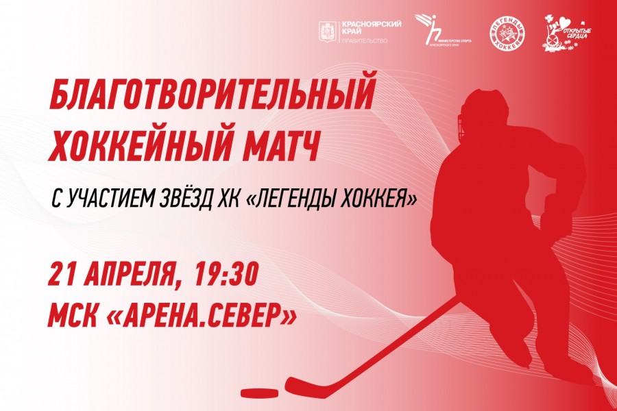 Благотворительный хоккейный матч