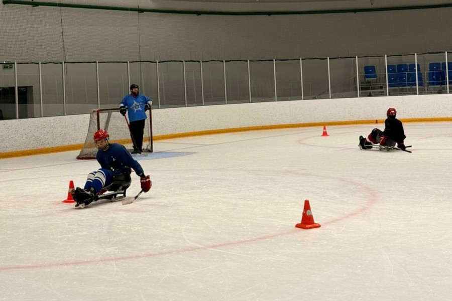 Тренировка. Лёд