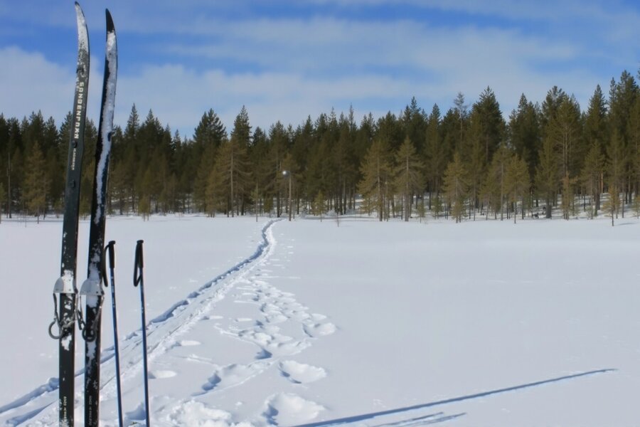 Ответы на часто задаваемые вопросы
