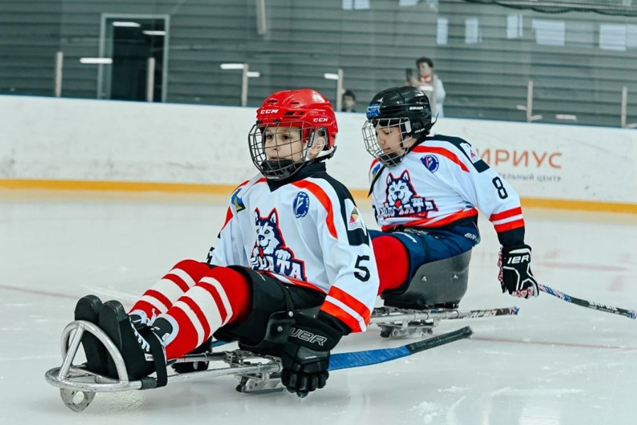 Со счётом 1:0. &laquo;Волчата&raquo; выигрывают ещё одну игру