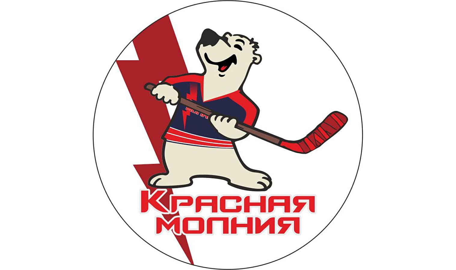 Знакомьтесь! Состав детской следж-хоккейной команды &laquo;Красная молния&raquo;