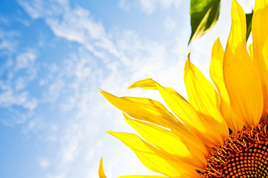 Россия-Швейцария. Мультиспорт