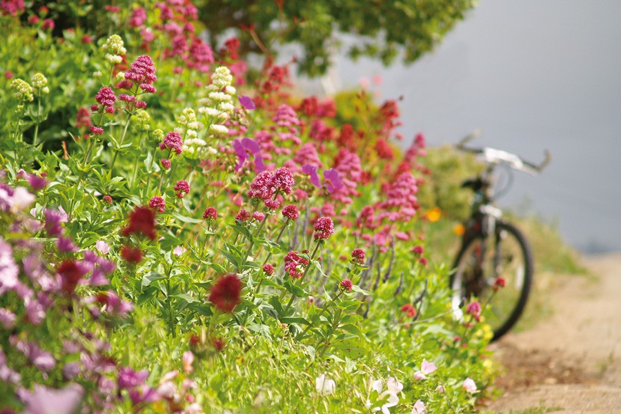 Открытие летней площадки велоклуба нашей организации состоится 30 апреля 2014 года