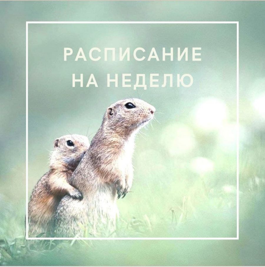 Расписание на неделю 30.08.2021 &ndash; 05.09.2021