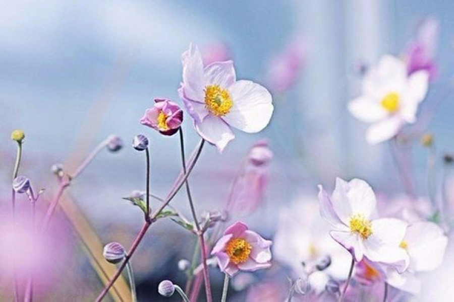 С 8 Марта, праздником весны!