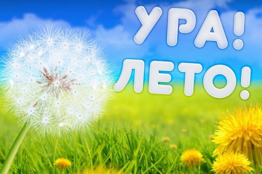 Проводим лето вместе!