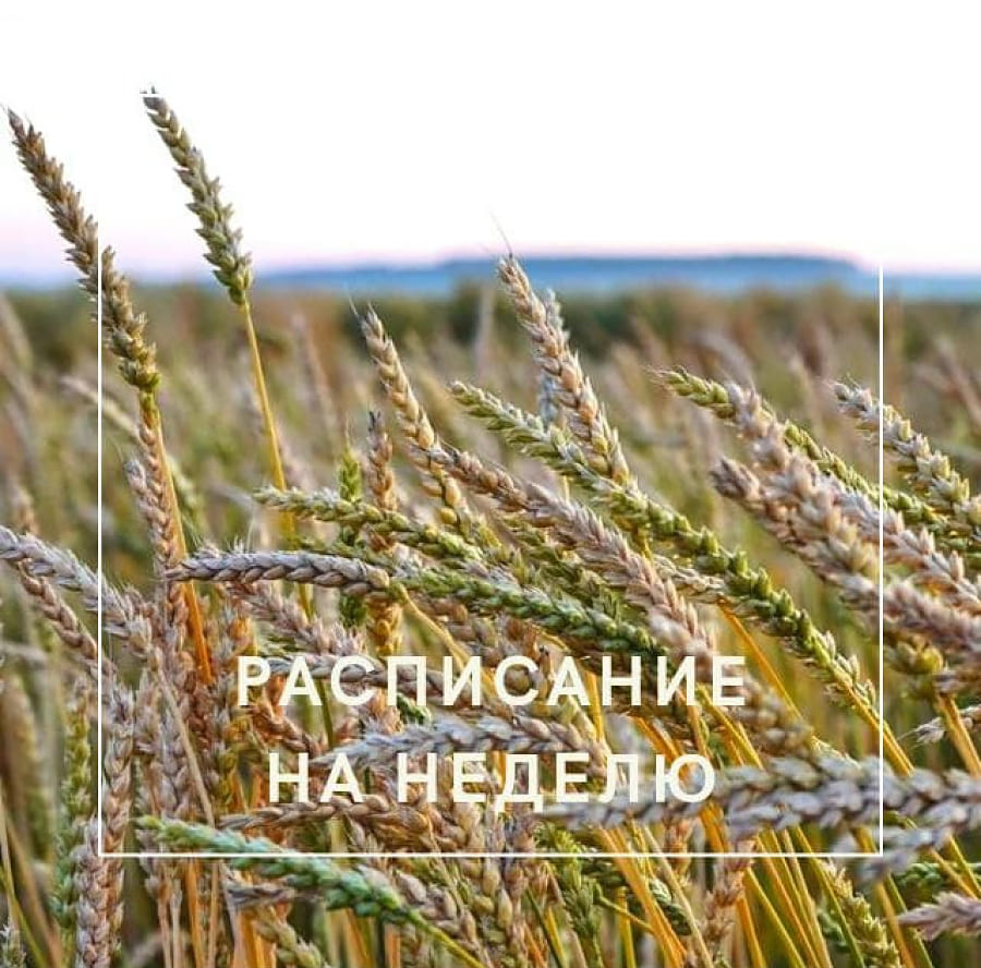 Расписание на неделю 06.09.2021 &ndash; 12.09.2021