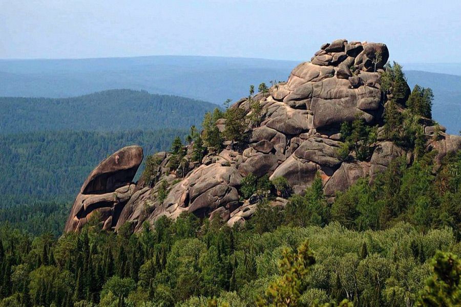 Социальные проекты: технология управления